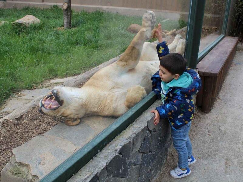 Faruk Yalçın Zoo - Darıca Hayvanat Bahçesi