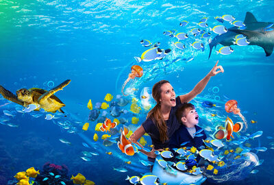 Legoland - Sealife